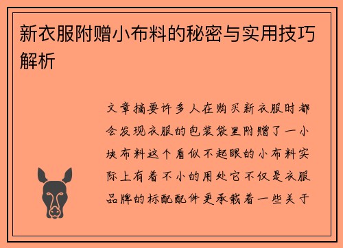 新衣服附赠小布料的秘密与实用技巧解析