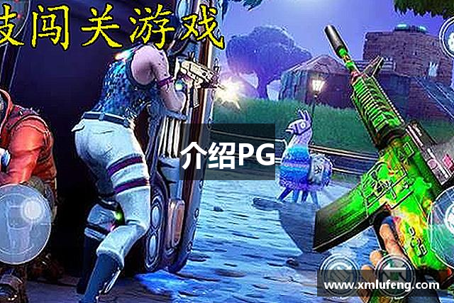 介绍PG